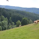 Brusinka * Kasperske Hory