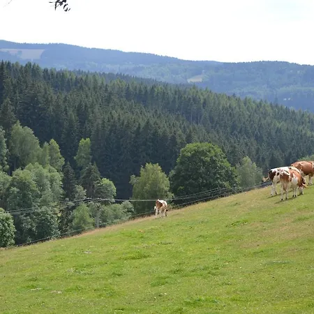 Brusinka * Kasperske Hory