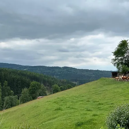 Apartmán Brusinka Kasperske Hory