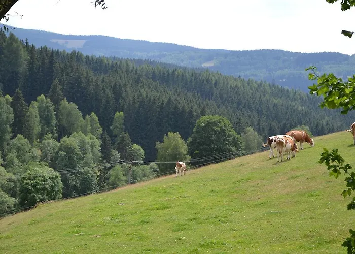 Brusinka * Kasperske Hory