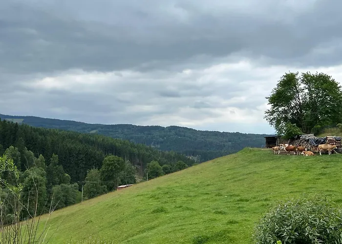 Appartement Brusinka Kasperske Hory